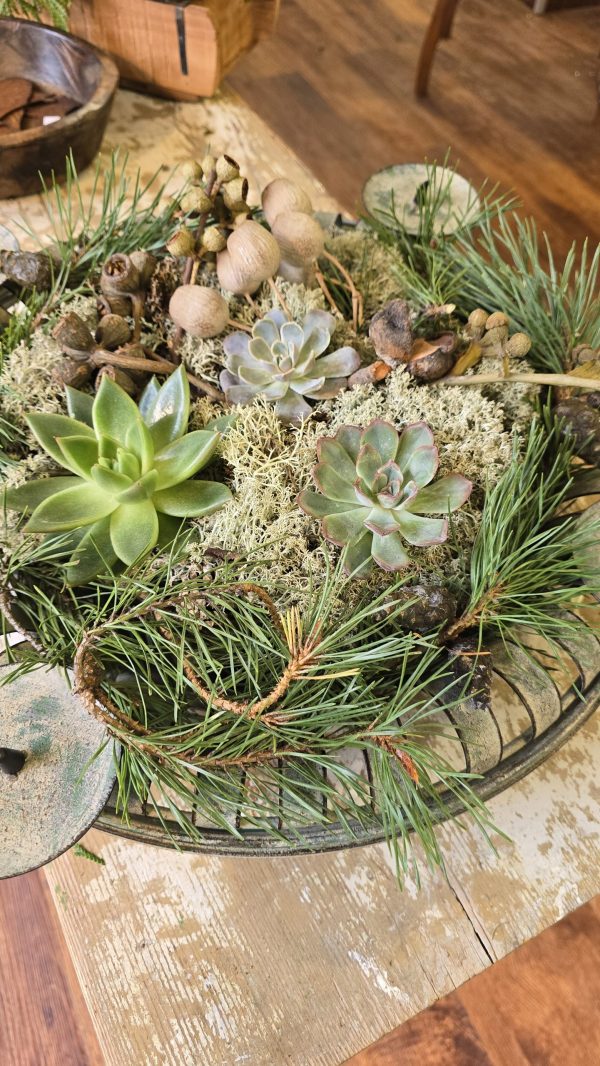 Adventskranz Adventsdeko Adventsschale Adventstablett Adventsschale Mrs Greenery kaufen bestellen Shop
