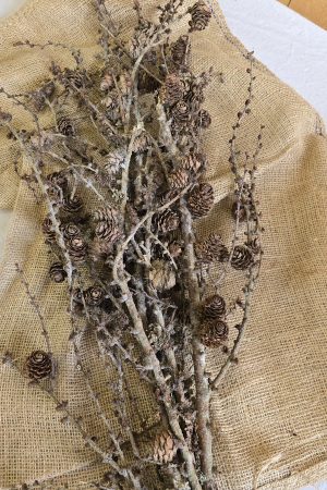 Lärche Zweige Äste Ast Zweig Bund Weihnachtsdeko Naturdeko im Mrs Greenery Shop bestellen kaufen