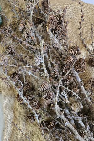Lärche Zweige Äste Ast Zweig Bund Weihnachtsdeko Naturdeko im Mrs Greenery Shop bestellen kaufen
