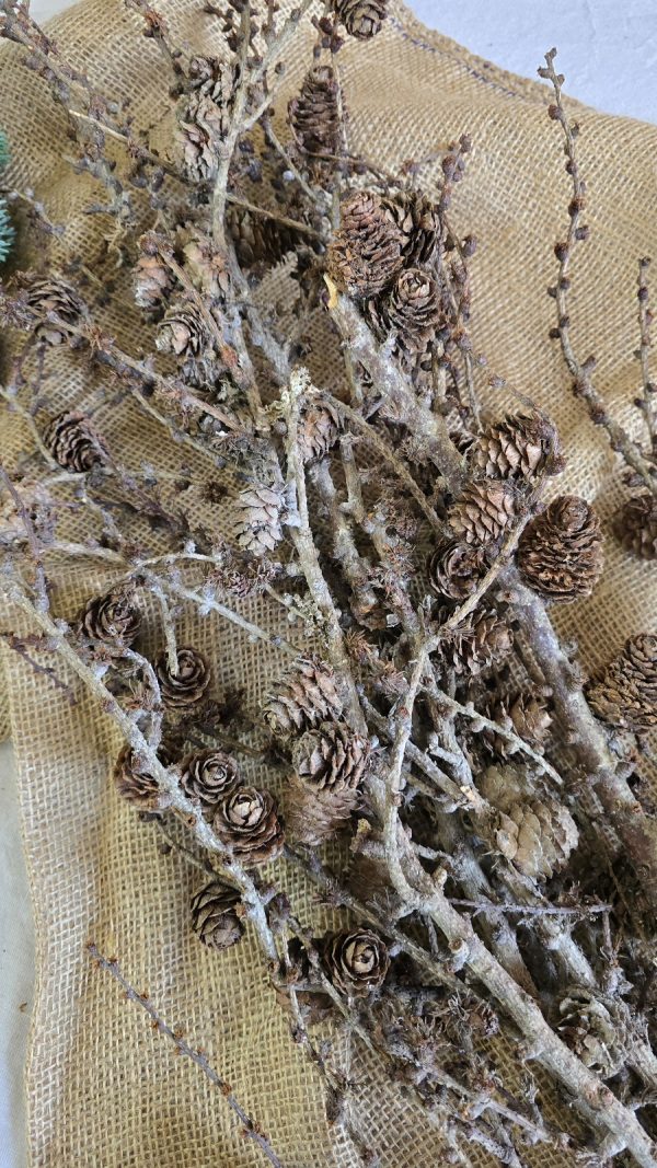 Lärche Zweige Äste Ast Zweig Bund Weihnachtsdeko Naturdeko im Mrs Greenery Shop bestellen kaufen