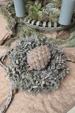 kranz Kränze gewachst wachskranz winterkranz weihnachtskranz mrs greenery shop bestellen kaufen