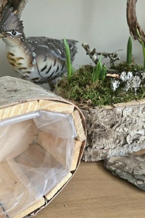 pflanzschale topf dekoschale birke naturdeko wasserdicht dekotopf im mrs greenery shop bestellen kaufen