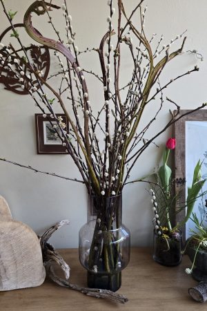 drachenweide weide frisch naturdeko weidekätzchen im mrs greenery Shop bestellen kaufen