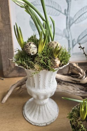 Metallpokal Pokal weiß Pflanztopf Deko Schale Pflanztopf Tischdeko Dekoidee im Mrs Greenery Shop bestellen kaufen