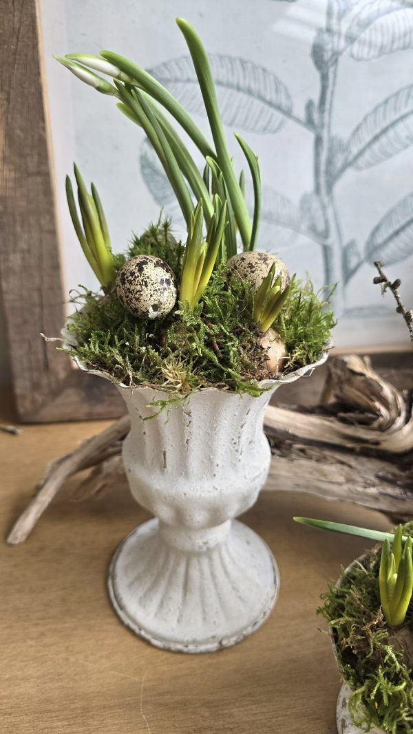Metallpokal Pokal weiß Pflanztopf Deko Schale Pflanztopf Tischdeko Dekoidee im Mrs Greenery Shop bestellen kaufen