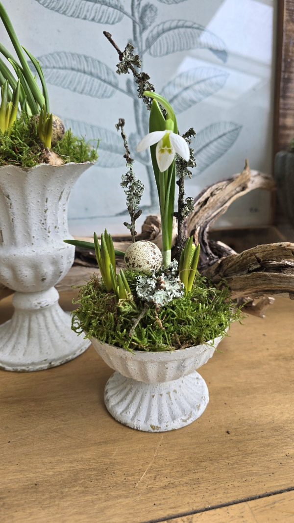 Metallpokal Pokal weiß Pflanztopf Deko Schale Pflanztopf Tischdeko Dekoidee im Mrs Greenery Shop bestellen kaufen