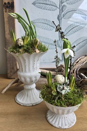 Metallpokal Pokal weiß Pflanztopf Deko Schale Pflanztopf Tischdeko Dekoidee im Mrs Greenery Shop bestellen kaufen