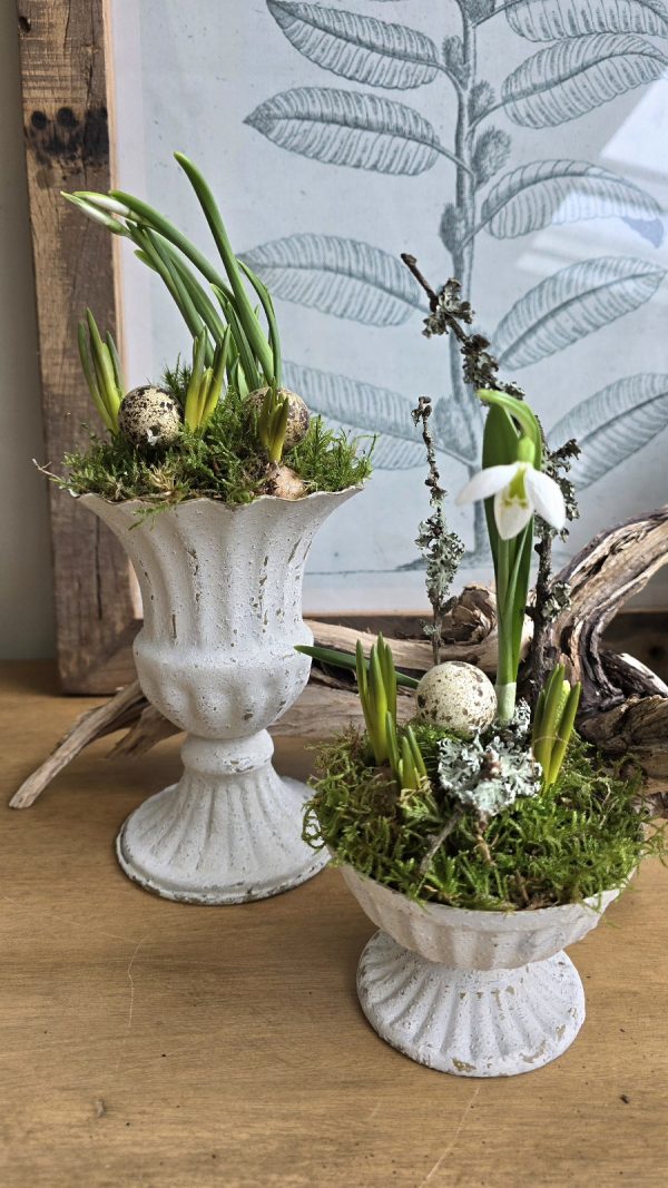 Metallpokal Pokal weiß Pflanztopf Deko Schale Pflanztopf Tischdeko Dekoidee im Mrs Greenery Shop bestellen kaufen