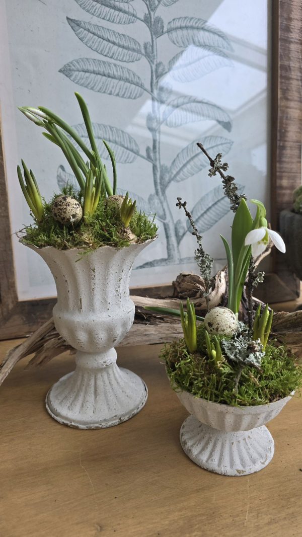 Metallpokal Pokal weiß Pflanztopf Deko Schale Pflanztopf Tischdeko Dekoidee im Mrs Greenery Shop bestellen kaufen