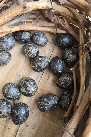 wachteleier eier ostereier ei naturdeko dunkel schwarz osterdeko mrs greenery shop bestellen kaufen online