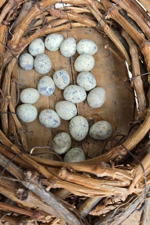 wachteleier eier ostereier ei naturdeko pastell gruen osterdeko mrs greenery shop bestellen kaufen online