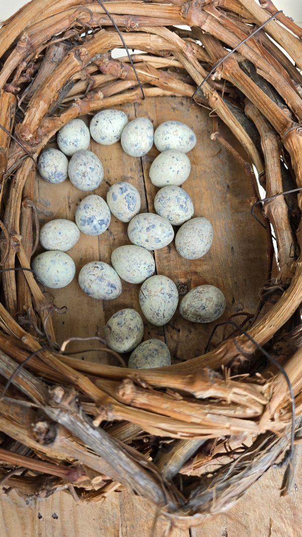 wachteleier eier ostereier ei naturdeko pastell gruen osterdeko mrs greenery shop bestellen kaufen online