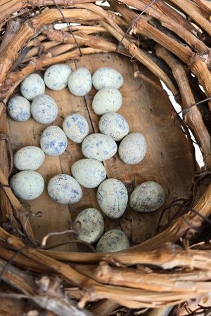 wachteleier eier ostereier ei naturdeko pastell gruen osterdeko mrs greenery shop bestellen kaufen online