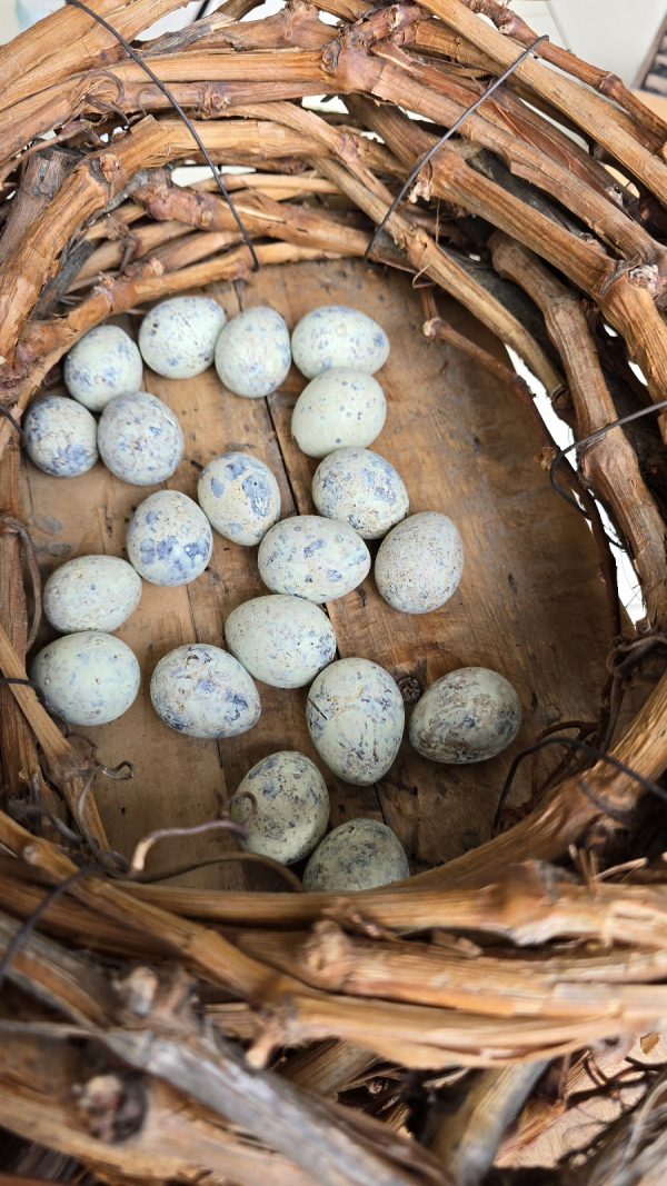 wachteleier eier ostereier ei naturdeko pastell gruen osterdeko mrs greenery shop bestellen kaufen online