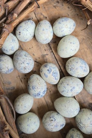 wachteleier eier ostereier ei naturdeko pastell gruen osterdeko mrs greenery shop bestellen kaufen online