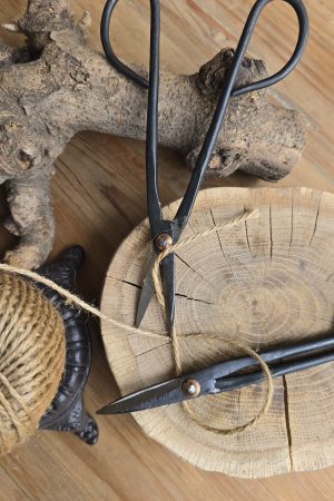 bonsaischere schere lang metall kreativ mrs greenery shop bestellen kaufen schwarz