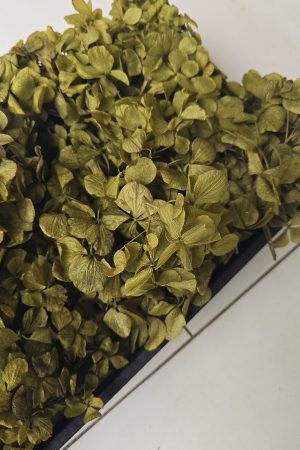 hortensien konserviert hortensienblüten im mrs greenery shop bestellen kaufen trockenblumen