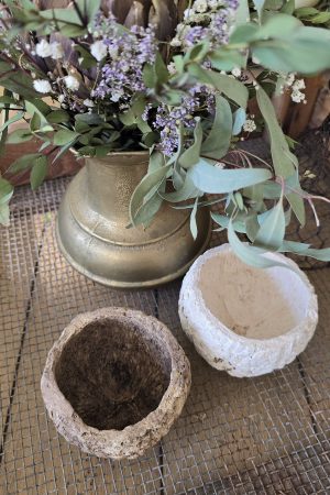 Schale natur Dekoschale Dekotopf paranuss im mrs greenery shop bestellen kaufen deko