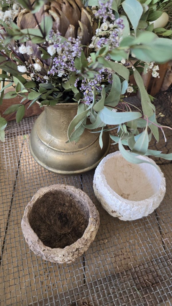 Schale natur Dekoschale Dekotopf paranuss im mrs greenery shop bestellen kaufen deko