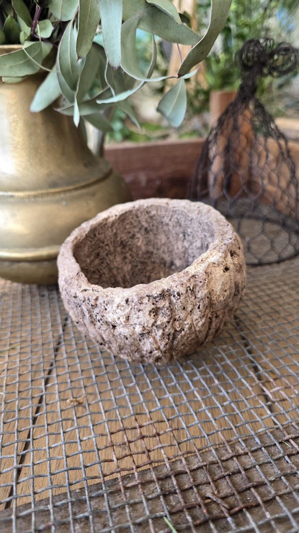 Schale natur Dekoschale Dekotopf paranuss im mrs greenery shop bestellen kaufen deko
