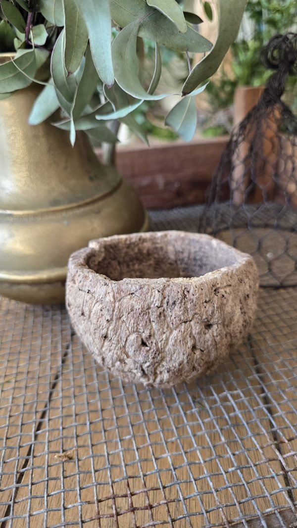 Schale natur Dekoschale Dekotopf paranuss im mrs greenery shop bestellen kaufen deko