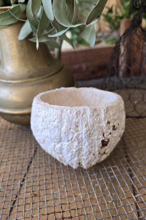 Schale natur Dekoschale Dekotopf paranuss im mrs greenery shop bestellen kaufen deko