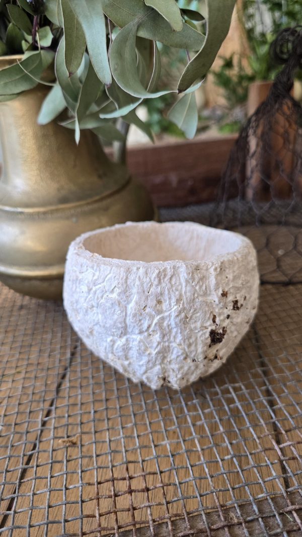 Schale natur Dekoschale Dekotopf paranuss im mrs greenery shop bestellen kaufen deko