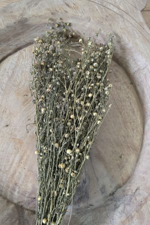 Trockenblume Leinen getrocknet bund im Mrs Greenery Shop bestellen kaufen