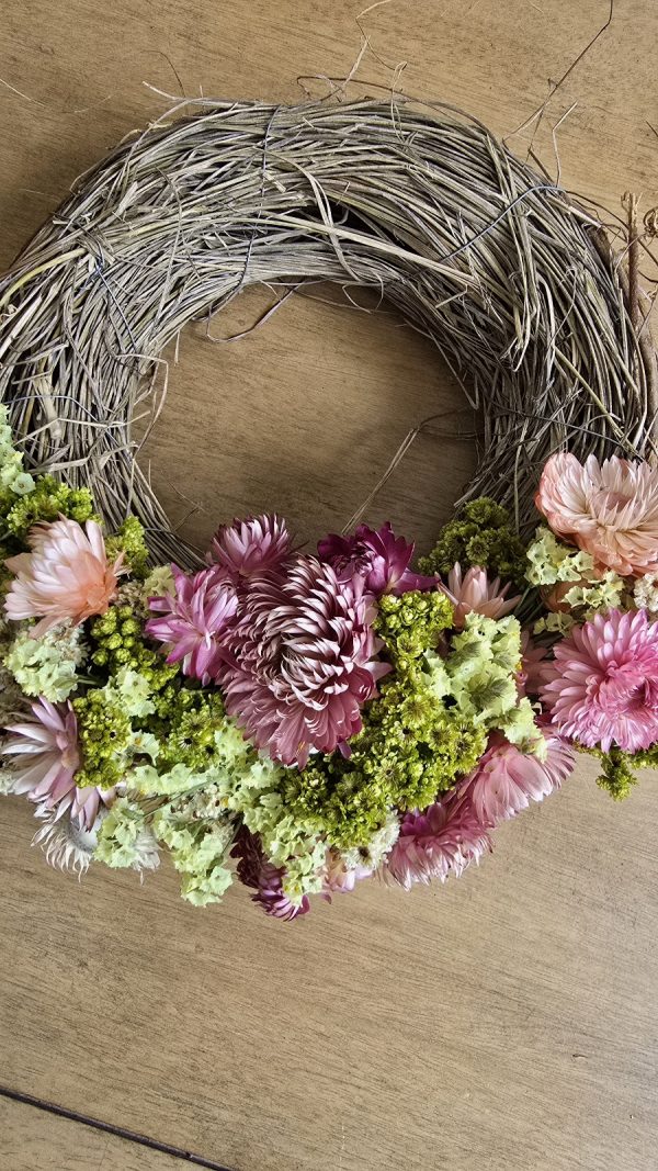 Trockenblume crsipum creme grün rot bordeaux getrocknet bund im Mrs Greenery Shop bestellen kaufen