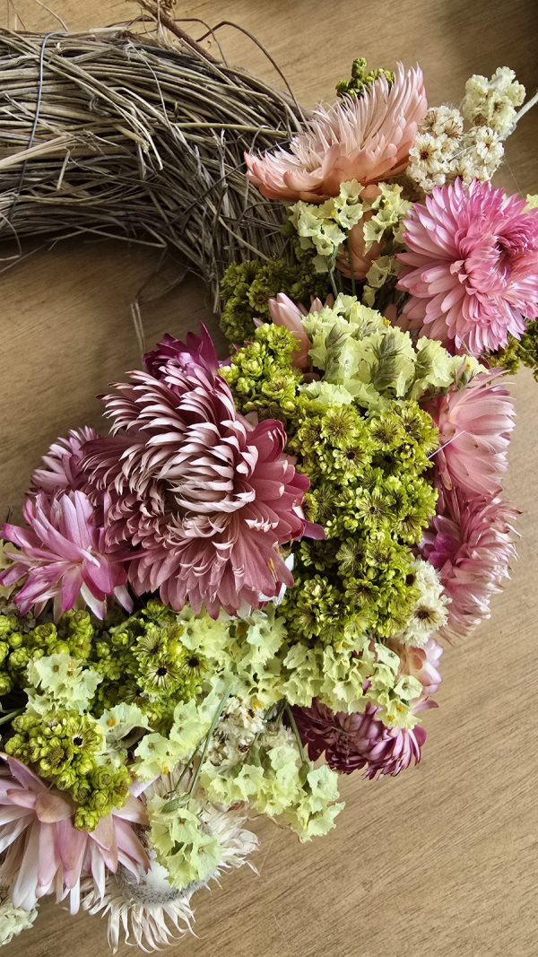 Trockenblume crsipum creme grün rot bordeaux getrocknet bund im Mrs Greenery Shop bestellen kaufen