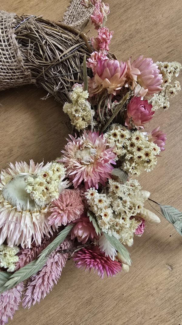 Trockenblume crsipum creme grün rot bordeaux getrocknet bund im Mrs Greenery Shop bestellen kaufen