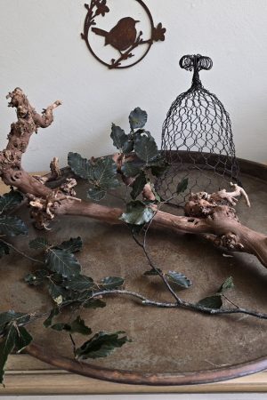Rebenast Ast Zweig Rebe Holzast dekoast gloche glocke drahtglocke deko naturdeko im mrs greenery Shop bestellen kaufen
