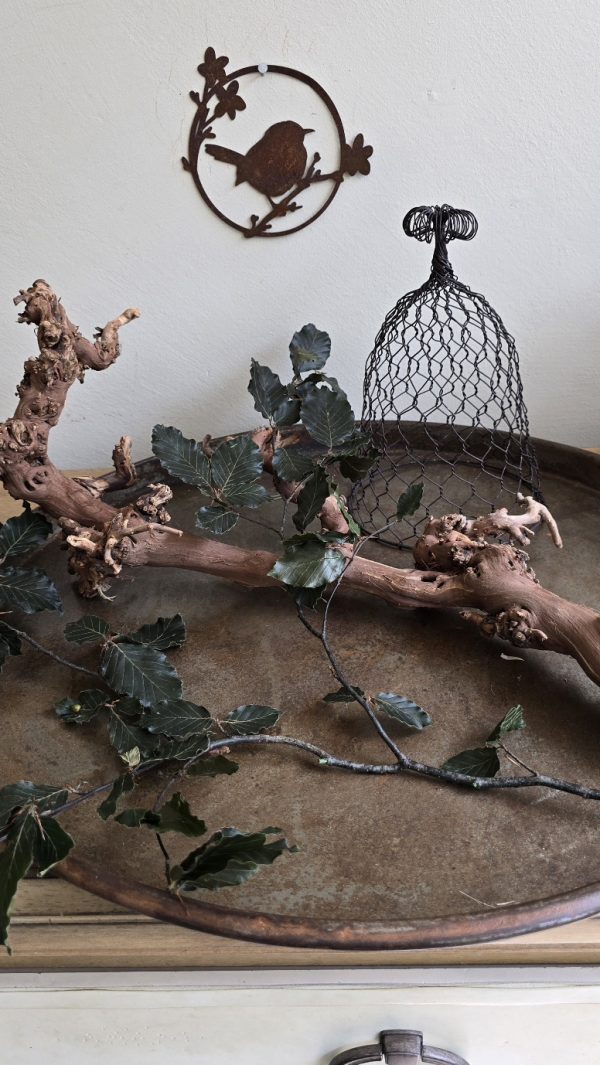 Rebenast Ast Zweig Rebe Holzast dekoast gloche glocke drahtglocke deko naturdeko im mrs greenery Shop bestellen kaufen
