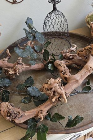 Rebenast Ast Zweig Rebe Holzast dekoast gloche glocke drahtglocke deko naturdeko im mrs greenery Shop bestellen kaufen