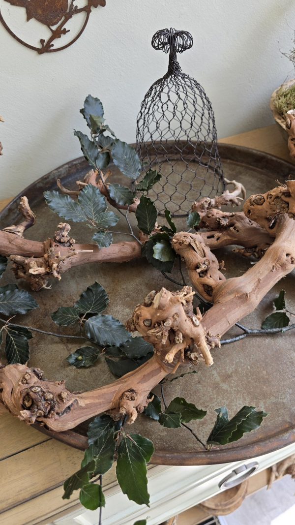 Rebenast Ast Zweig Rebe Holzast dekoast gloche glocke drahtglocke deko naturdeko im mrs greenery Shop bestellen kaufen