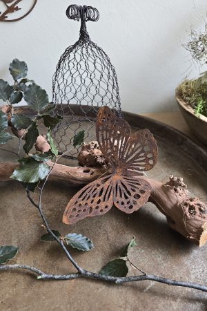 Rebenast Ast Zweig Rebe Holzast dekoast gloche glocke drahtglocke deko naturdeko im mrs greenery Shop bestellen kaufen rost schmetterling
