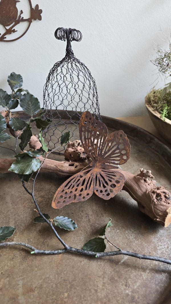 Rebenast Ast Zweig Rebe Holzast dekoast gloche glocke drahtglocke deko naturdeko im mrs greenery Shop bestellen kaufen rost schmetterling