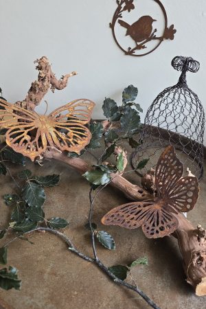 Rebenast Ast Zweig Rebe Holzast dekoast gloche glocke drahtglocke deko naturdeko im mrs greenery Shop bestellen kaufen rost schmetterling