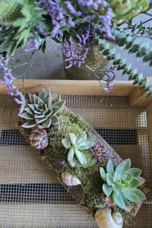 sukkulenten tischdeko dekoarrangement deko im Mrs Greenery Shop bestellen kaufen naturdeko sommerdeko