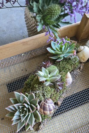 sukkulenten tischdeko dekoarrangement deko im Mrs Greenery Shop bestellen kaufen naturdeko sommerdeko