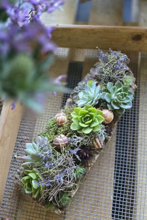 sukkulenten tischdeko dekoarrangement deko im Mrs Greenery Shop bestellen kaufen naturdeko sommerdeko
