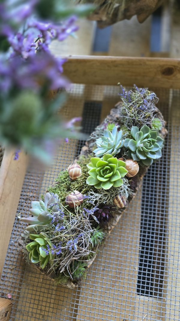 sukkulenten tischdeko dekoarrangement deko im Mrs Greenery Shop bestellen kaufen naturdeko sommerdeko