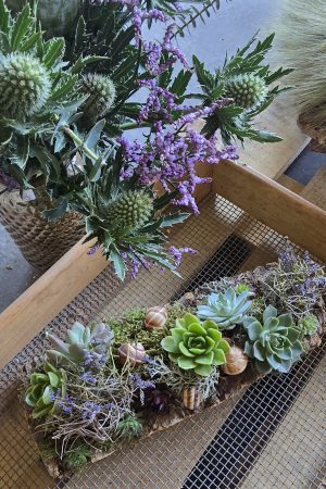 sukkulenten tischdeko dekoarrangement deko im Mrs Greenery Shop bestellen kaufen naturdeko sommerdeko