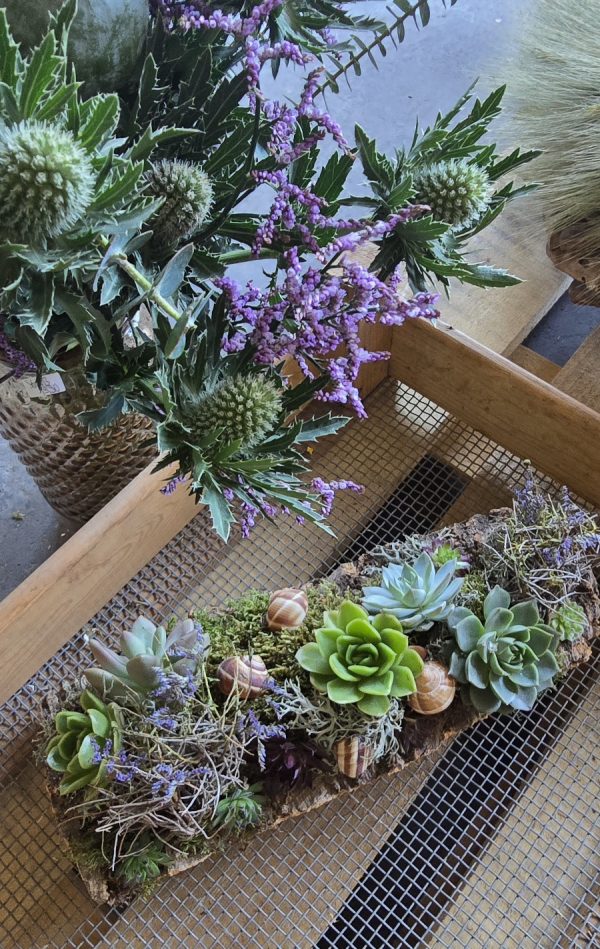 sukkulenten tischdeko dekoarrangement deko im Mrs Greenery Shop bestellen kaufen naturdeko sommerdeko