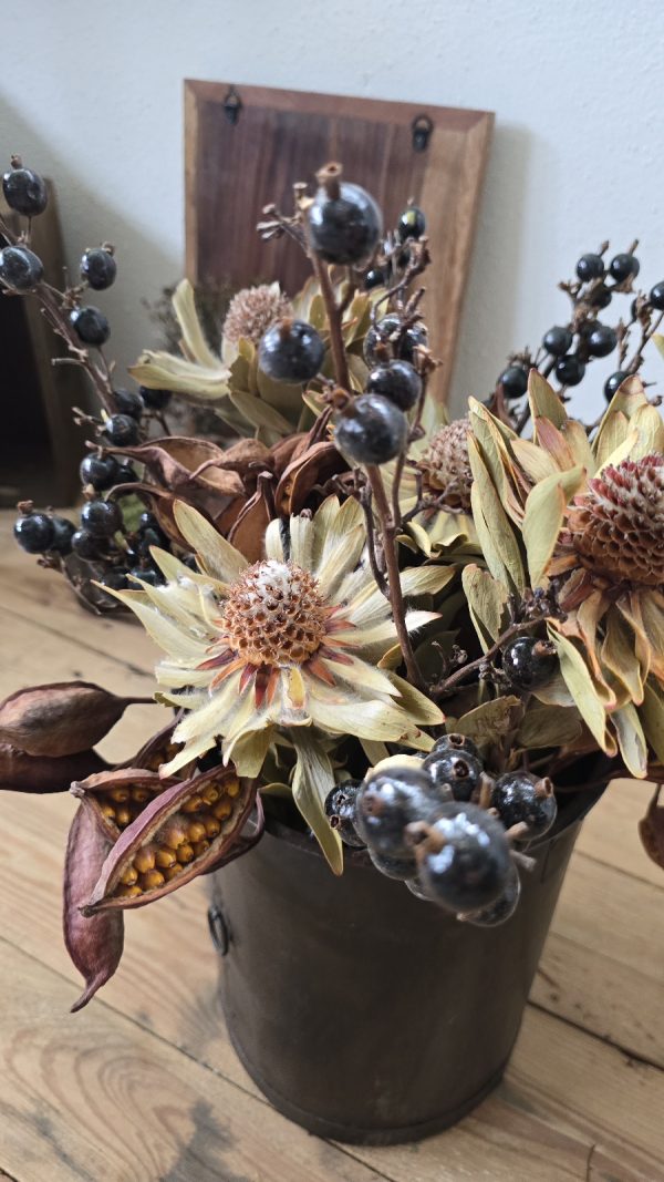 trockenblume vanosium trockenblüte im mrs greenery shop bestellen kaufen getrocknete Blüte