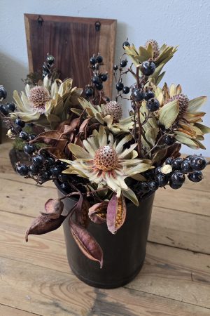 trockenblume vanosium trockenblüte im mrs greenery shop bestellen kaufen getrocknete Blüte