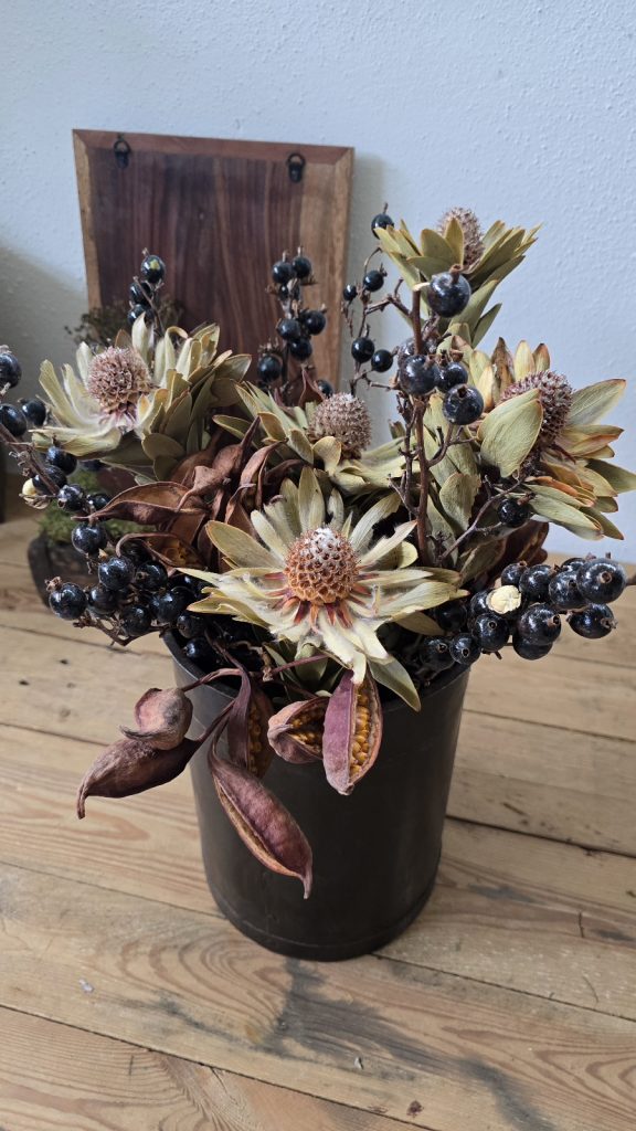 trockenblume vanosium trockenblüte im mrs greenery shop bestellen kaufen getrocknete Blüte