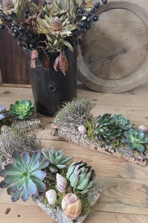 sukkulenten tischdeko dekoarrangement deko im Mrs Greenery Shop bestellen kaufen naturdeko sommerdeko