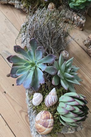sukkulenten tischdeko dekoarrangement deko im Mrs Greenery Shop bestellen kaufen naturdeko sommerdeko