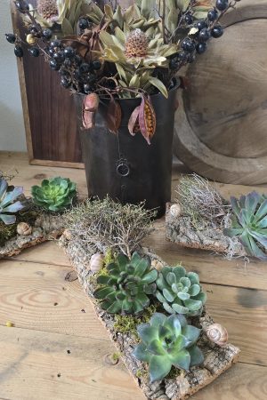 sukkulenten tischdeko dekoarrangement deko im Mrs Greenery Shop bestellen kaufen naturdeko sommerdeko